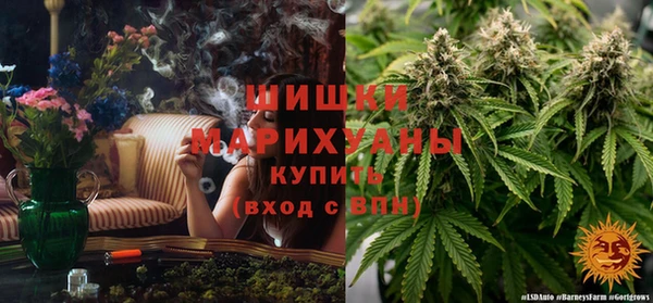 МДПВ Осинники