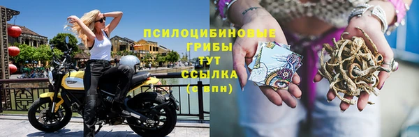ALPHA-PVP Осташков