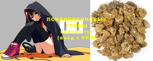 МДПВ Осинники