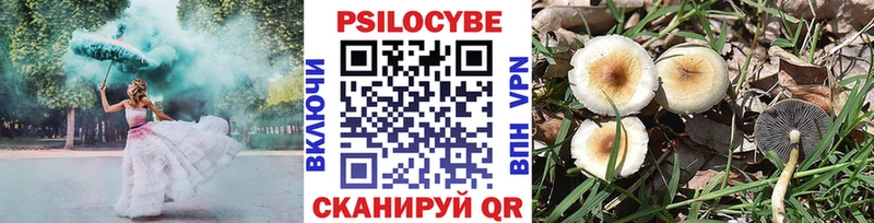 Псилоцибиновые грибы Psilocybe  Олонец 